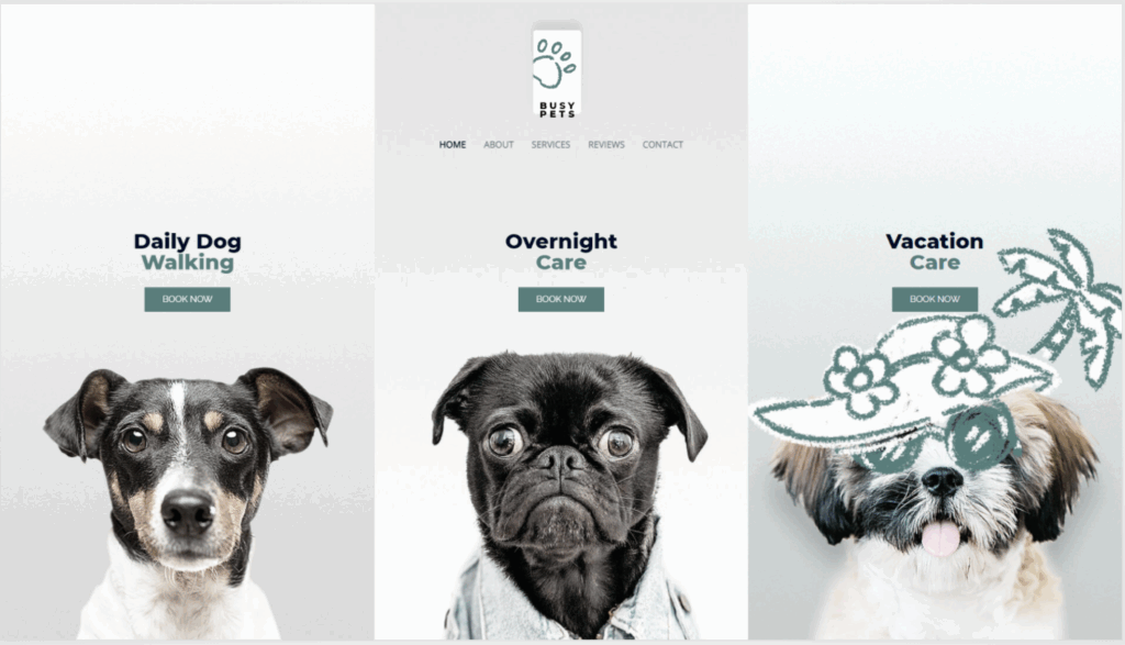 Portoflio 1 1024x587